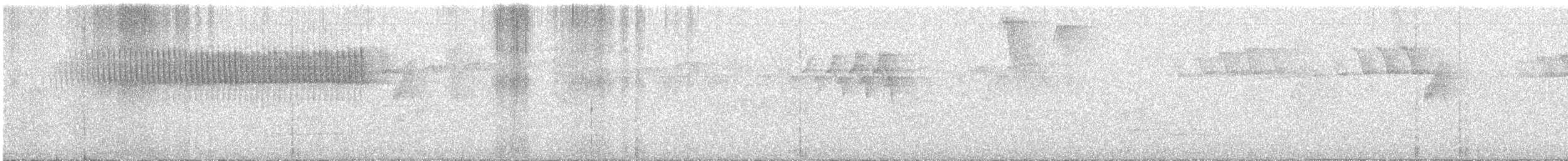 Певун-червеед - ML613513519