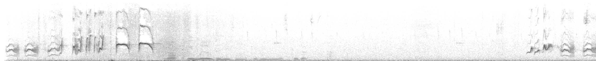 Кривоклювый пересмешник - ML613513863