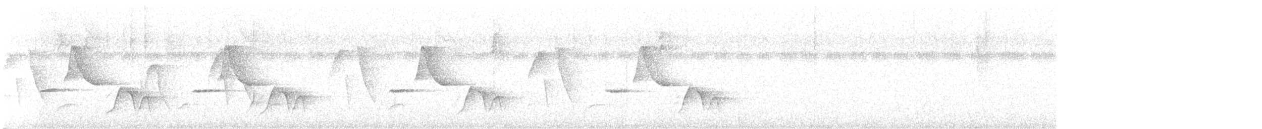 Гвианский крапивник [группа felix] - ML613515845