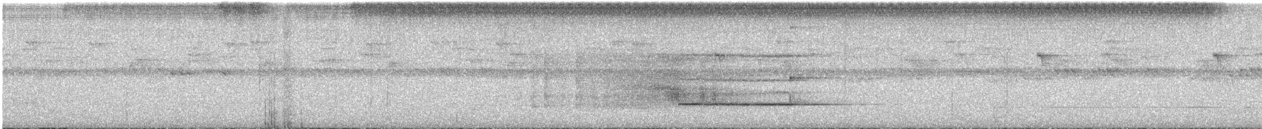 Сипуха темно-бура (підвид tenebricosa/arfaki) - ML613517979