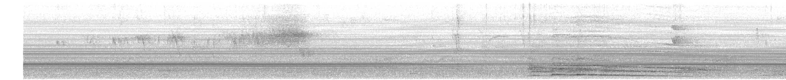 Blue-and-white Swallow - ML613518127