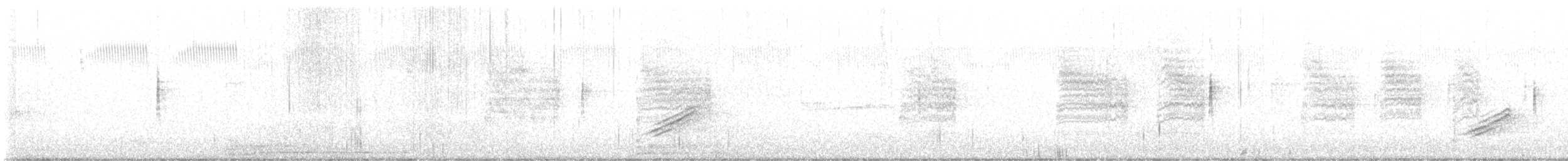 pipilo rudooký (ssp. alleni/rileyi) - ML613518287