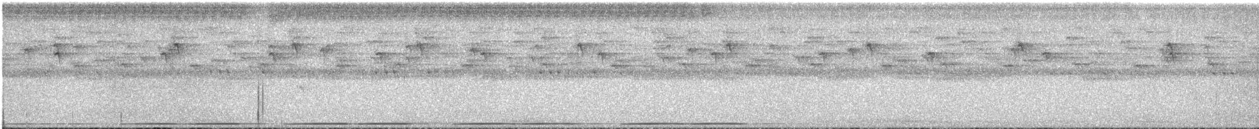 チャイロガマグチヨタカ（plumiferus） - ML613518351