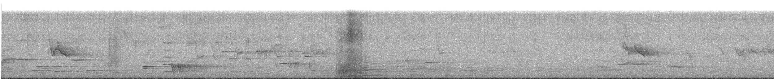 Tui - ML613518902