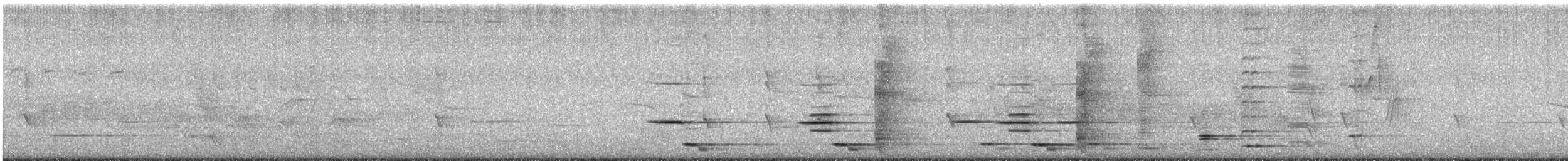 Tui - ML613518991