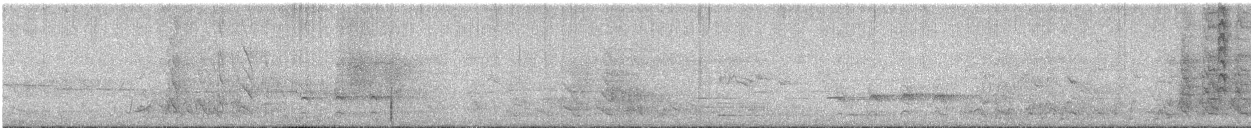 New Zealand Fantail - ML613519096