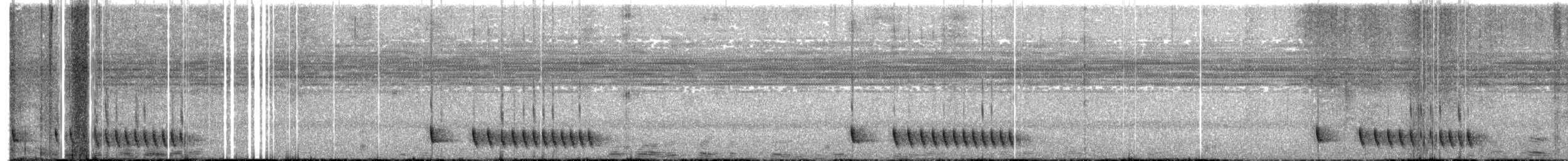 Madagaskarnachtschwalbe - ML613520507