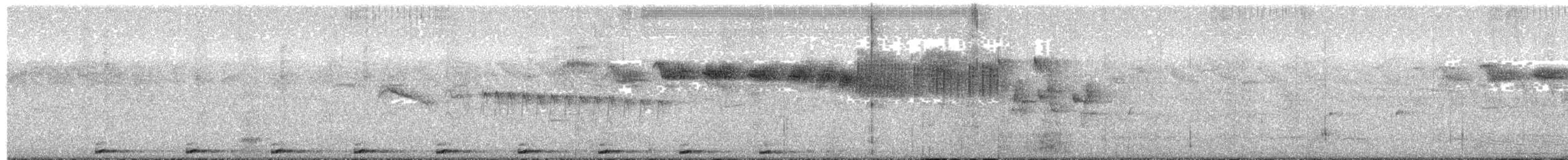 Carraca Terrestre Colilarga - ML613520638