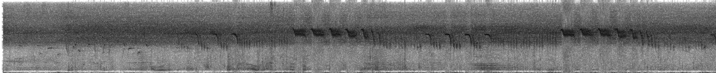 Stripe-throated Jery (Subdesert) - ML613520654