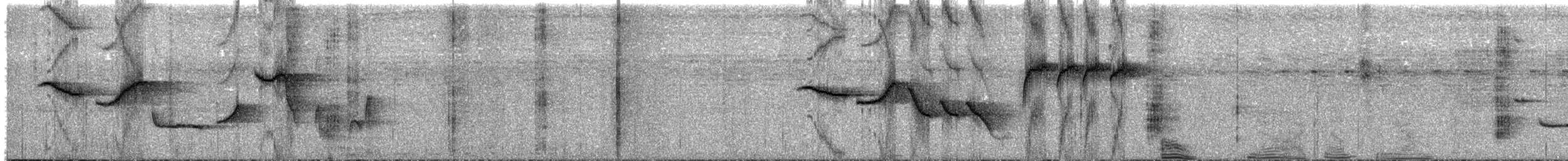 Шама мадагаскарська (підвид inexspectatus) - ML613521050