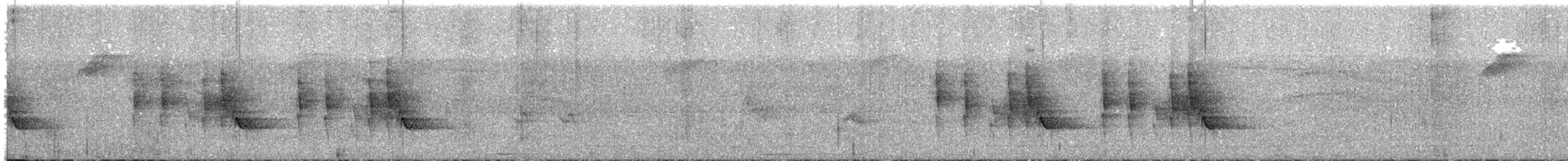 Ванга рудохвоста - ML613521103