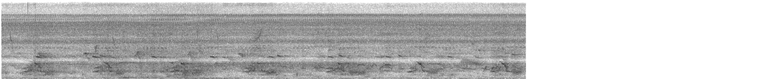 Желтошапочный амазон - ML613524212