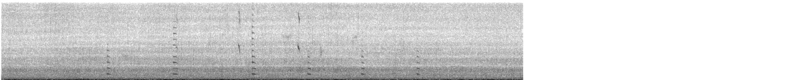 Kopetazuri arrunta - ML613524481