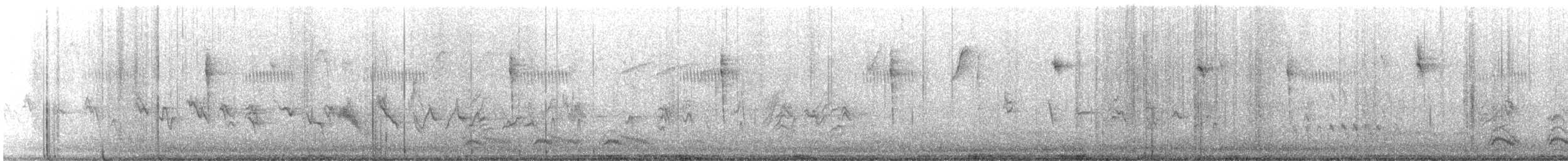 House Finch - ML613524679