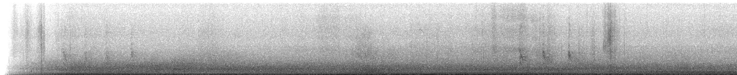 Red-bellied Woodpecker - ML613524705