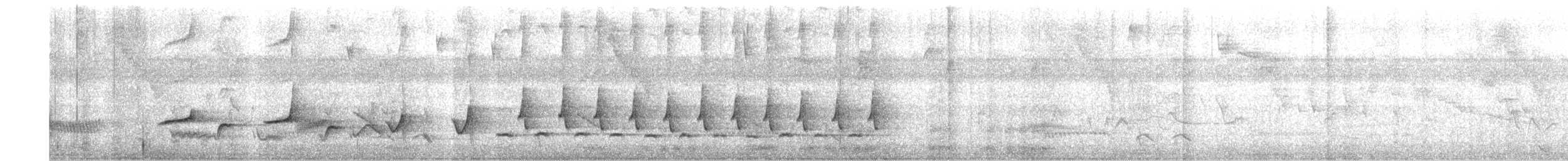 Black-striped Sparrow - ML613525378