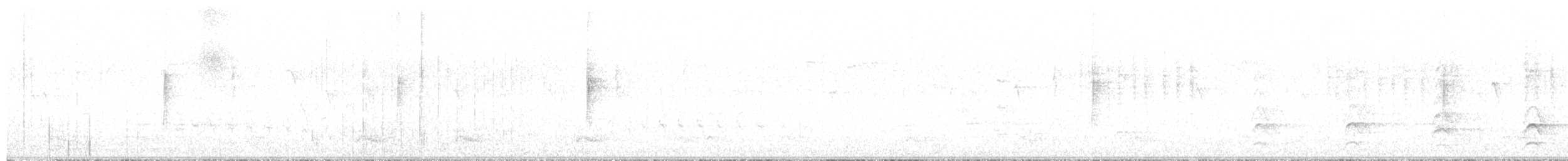Yellow-rumped Warbler - ML613526715