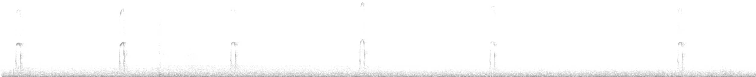 Haarspecht (orius/icastus) - ML613528268