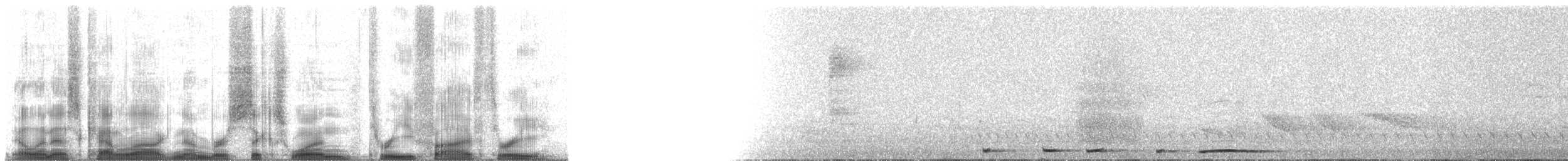 Plumbeous Pigeon - ML61353