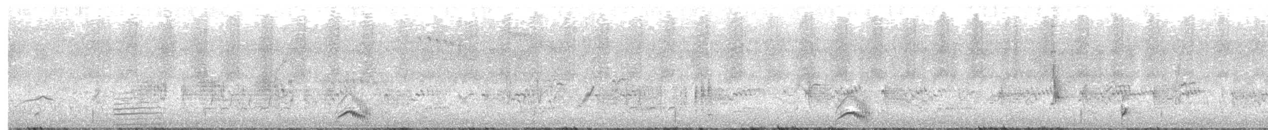 Spotless Crake - ML613531162