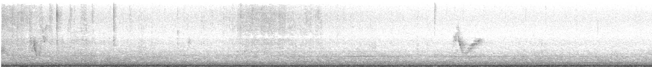 Віреон коста-риканський - ML613534039