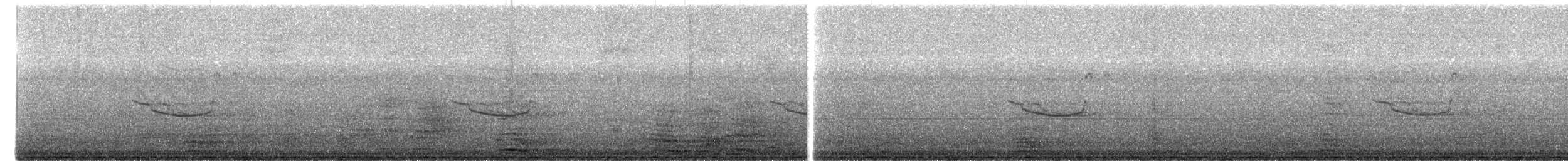 Band-winged Nightjar - ML613534807