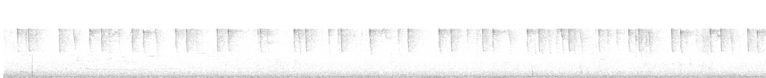 Синегрудый фиалкоух - ML613535289