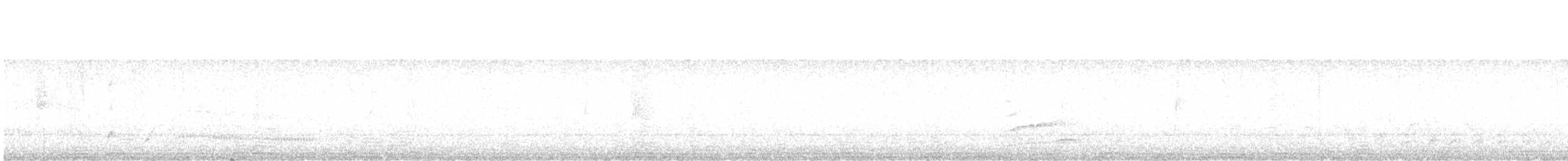 Серогрудый крючкоклюв - ML613536167