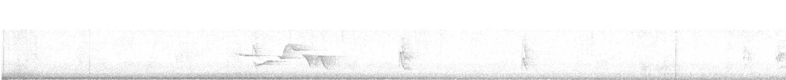 Spot-breasted Wren - ML613536776