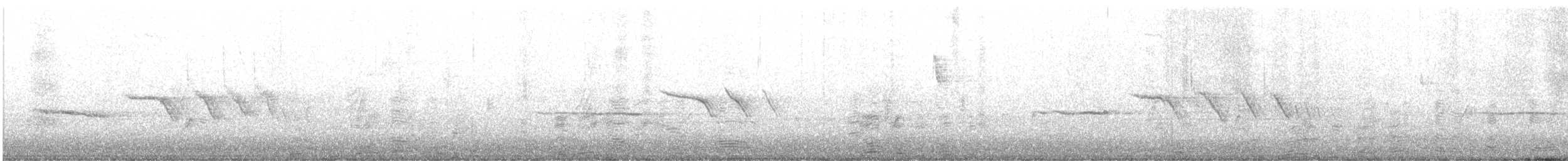 White-crowned Sparrow (nuttalli) - ML613537808