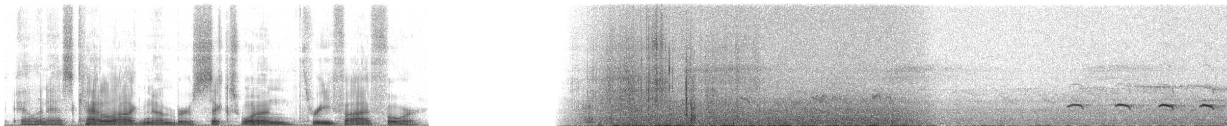 ハイイロアリモズモドキ - ML61354