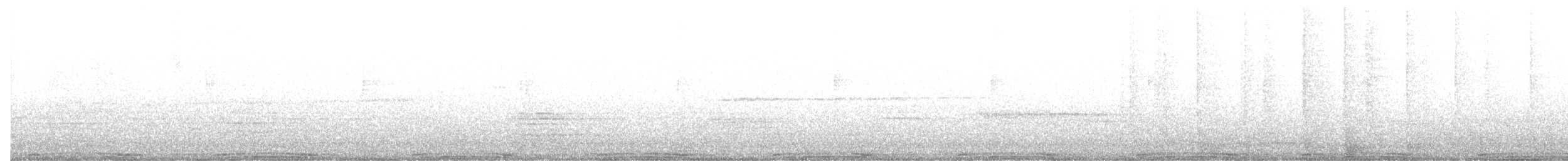 カワラバト（ドバト、家畜型） - ML613541545