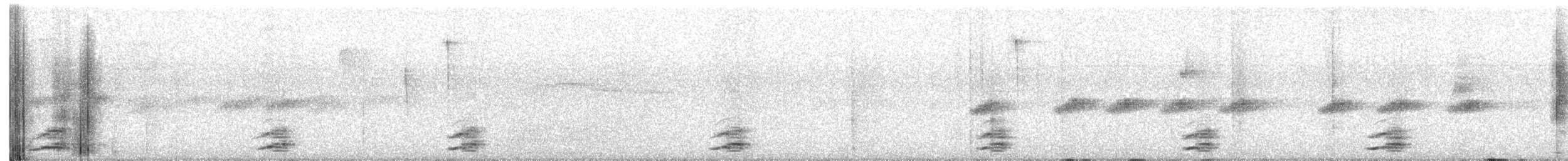 Большая якамара - ML613544364