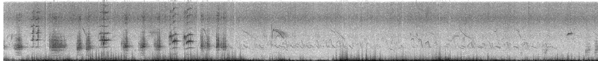 Great Reed Warbler - ML613548677