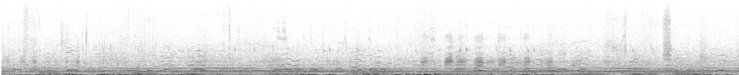 Cygne siffleur (bewickii) - ML613549392