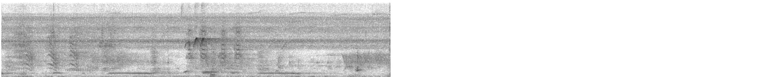 holub neotropický - ML613549436