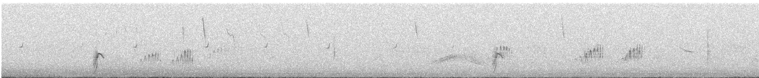 Tinamou orné - ML613549907