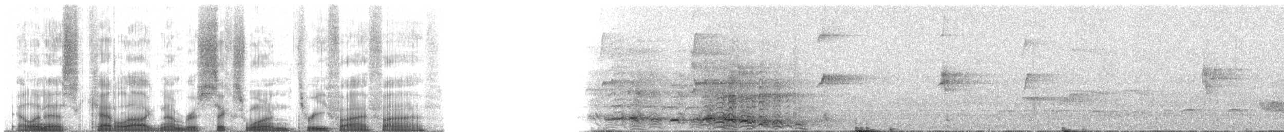 Northern Masked Titi - ML61355