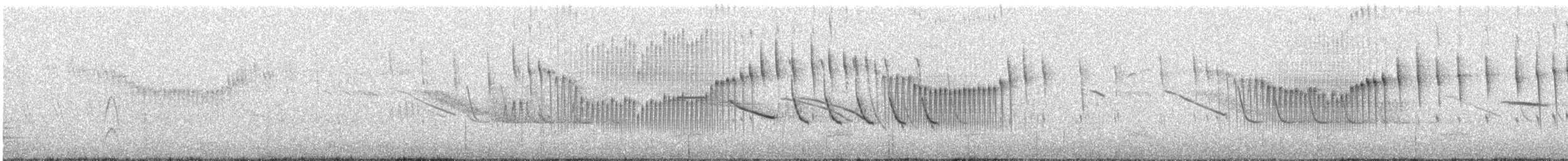 Blassbauch-Uferwipper - ML613550038