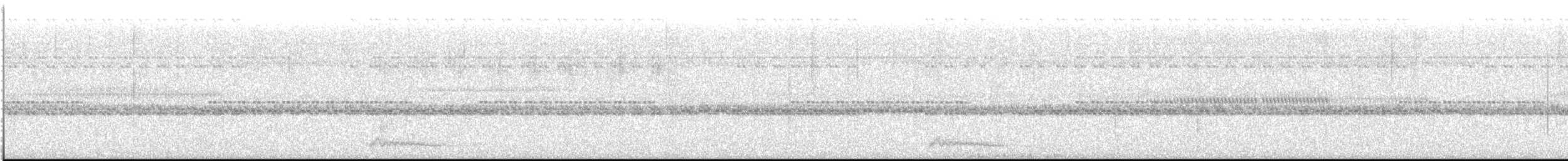 Augennachtschwalbe - ML613551103