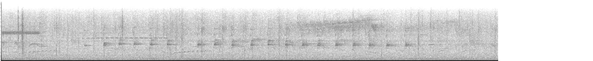 Microtyran oreillard - ML613551932