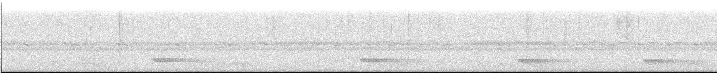Скрытохвост татаупа - ML613552152