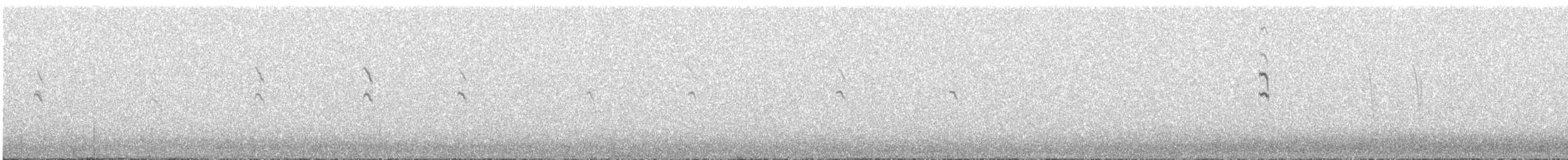 White-throated Sierra Finch - ML613552720