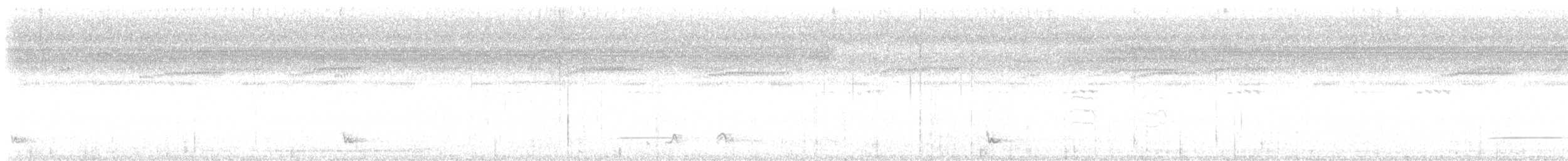 Bindenschwanz-Nachtschwalbe - ML613554422