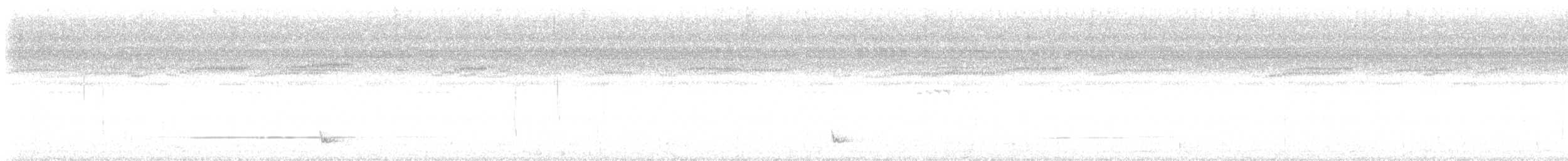 Bindenschwanz-Nachtschwalbe - ML613554425