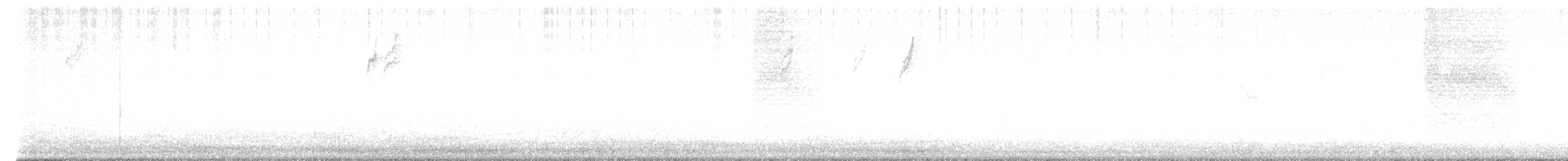 Black-tailed Gnatcatcher - ML613556843