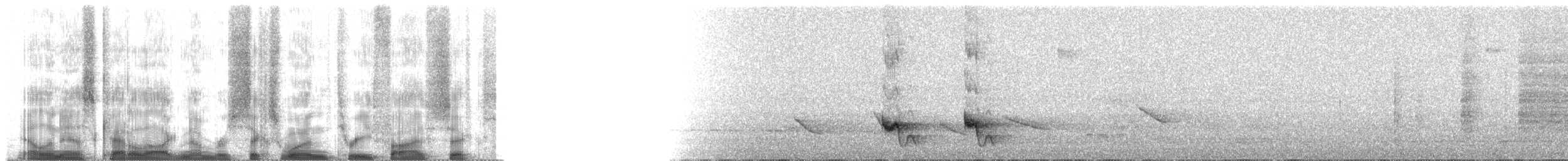 Kırlangıç Kuyruklu Manakin - ML61356