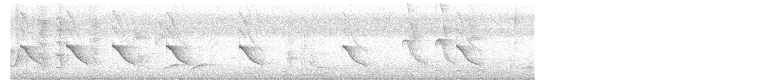 langhaleskredderfugl - ML613560009