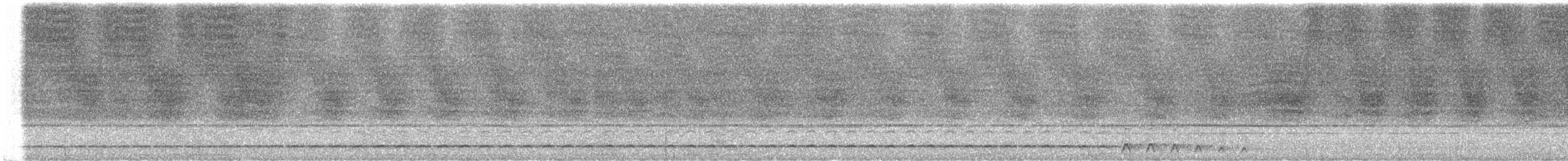 Kısa Kuyruklu Karıncaardıcı - ML613565109