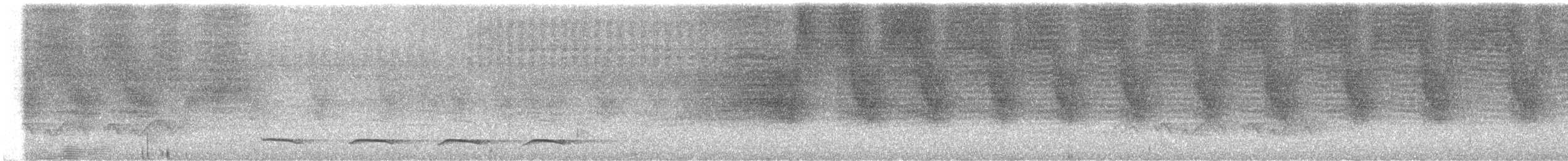 Atlantik Kara Gerdanlı Trogonu - ML613565206